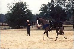 training image